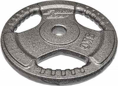 Diskë peshe EB Fit Hammertone, 5kg, vrimë 26.5mm, gri metalike