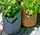 Thes mbjellës Nature Potato, 37 L, tekstil, antracit