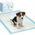 Pelena trajnimi Dogs Collection Hygienic Training Pad, 60x60cm, 25 copë, blu me të bardhë