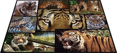 Puzzle Ambassador Tiger, 1000 pjesë, shumëngjyrësh