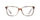 Syze Optike Ted Baker 9163 205