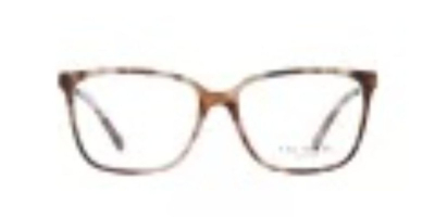 Syze Optike Ted Baker 9163 205