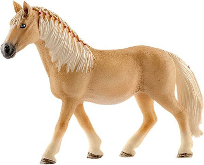 Klacz rasy Haflinger (13812)