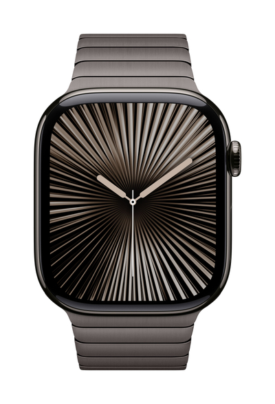 Apple Watch 46mm Link Bracelet, Slate Link Bracelet