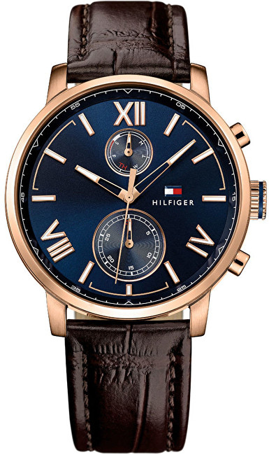 Orë dore Tommy Hilfiger 1791308