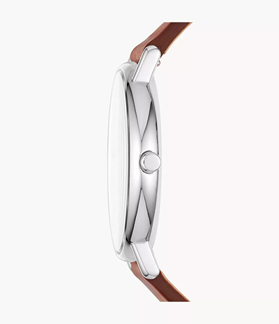 Orë dore për meshkuj Skagen Signature, e kaftë