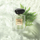 Eau De Toilette Armani Cypres Pantelleria, 100 ml