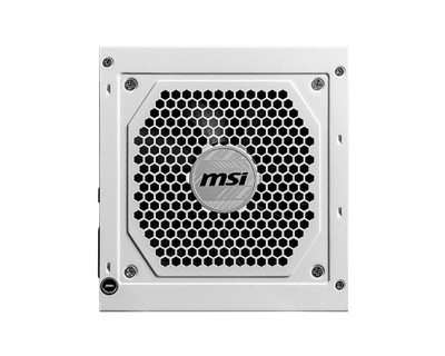 MSI MAG A850GL PCIE5 Напојување, Бело