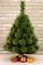 Pemë artificiale Vitit të Ri Klara Line Pine, 220 cm, PVC, jeshile
