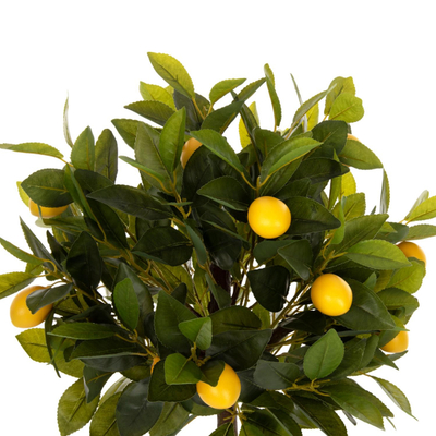 Bimë dekorative sintetike pisha limoni Φ15 (HM4019)