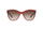 Syze dielli Ralph Lauren RL8156 563213