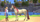 Lojë Sony PS5 Barbie Horse Trails, aventureske, për kalamaj