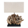 Lampë tavoline Twiggy HM4424, drejtkëndore, 35.5x15x47cm, kapak i bardhë