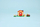 Lodër konstruktore LEGO Animal Crossing Goldies Cosy House, set ndërtimi, shumëngjyrëshe