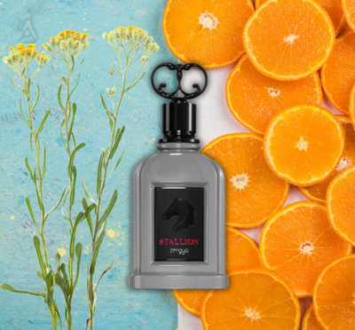 Parfum Zimaya Stallion, Eau de Parfum, 100ml, gri