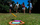 Set loje me frisbi Waboba Backnine, 4 disqe, unazë pikëzimi, portativ