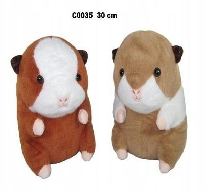 Product Picture