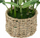 Bimë artificiale bambu Atmosphera Bamboo Ly, 46cm, me vazo, jeshile