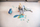 Puzzle Jigsaw Scratch Peacock Junior, 40 copa, 58 cm, blu