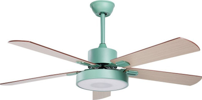 Ventilator tavani HOBBLE, me dritë, me pult, mint green