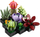 Set LEGO Creator Expert 10309 Succulents, 771 pjesë