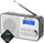 Radio GoGEN DAB 300 N, e argjendtë