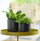 Tabaka për bimë Esschert Design Plant Tray Round L, me kapëse, dekorative, ngjyrë ari