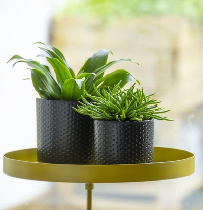 Tabaka për bimë Esschert Design Plant Tray Round L, me kapëse, dekorative, ngjyrë ari