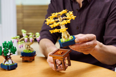 Set LEGO Botanicals Small Bonsai Trees 10373, 709 pjesë, dekorativ, shumëngjyrësh