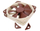 Ftohës Noctua NF-F12 PWM, 120 mm, i kaftë - bardhë