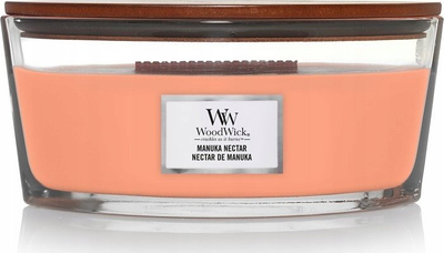Qiri Debenhams Ellipse Manuka Nectar, fitil druri, ene qelqi, i verdhe