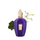 Parfum XerJoff Laylati