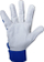 Doreza pune Profix, nr. 8, blu