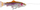 Harengë 4D Line Thru Pulsetail Trout 20cm 102g SS (61980)