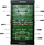 Tavolinë futbolli Enero Recreation Room Game, LED, e zezë