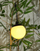 Lampë diellore varëse Saska Garden SP-6639M, sferë plastike 10x30cm, IP44, e bardhë