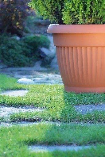 Vazo lulesh Prosperplast TERRA, 20x15.5 cm, 3L, terrakote