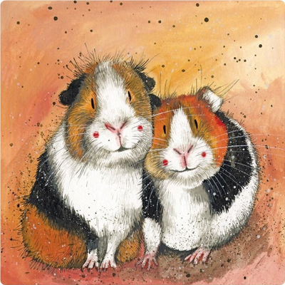 Magnet dekorativ Teka FM205 Guinea Pig, për frigorifer, shumëngjyrësh