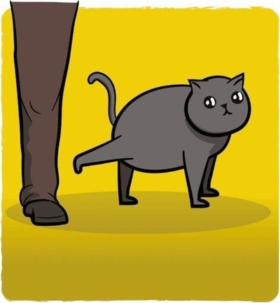 Друштвена игра Rebel Exploding Kittens Feline Frenzy, проширување, 12+