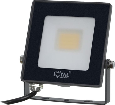 Projektor LED Loyal Lighting LY-FLE20, 20W, 2800lm, IP65, 4000K, i zi