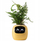 Vazo inteligjente PLANTSIO Smart Pet Planter Robot, udhëzues për përkujdesjen e bimëve, ndërvepron me emoji, e verdhë