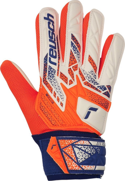 Doreza portjeri Reusch Attrakt Starter Solid Jr 5572513, për kalamaj, latex sintetik, bardh e blu