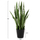 Bimë sintetike Sansevieria 90cm (HM7995), gjelbër