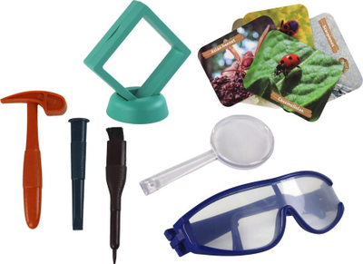 Set arkeologjik Leantoys Excavations Insects Amber, lodër edukative për fëmijë, fosile insektesh