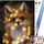 Set pikture me numra Maaleo Fox 22782, 40x50cm, kanavacë, shumëngjyrësh