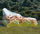 Mbulesë kopshti Carruzzo për shezlong, poliester 300D, 70x30x100cm, e zezë