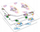 Set tatuazhesh fytyre Interplay Face Paintoos Magical Pack, 5 dizajne, për fëmijë 4+
