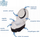 Пренослива тоалетна школка за деца My Carry Potty Penguin, без протекување, црна