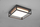 Надворешна таванска ламба Trio Lighting Witham, LED, IP54 CCT, антрацит