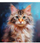Set mozaik me diamant Norimpex Cat Portrait, 30x40 cm, me mace, shumëngjyrësh